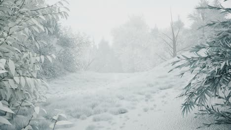nieve de invierno en el bosque, suave encantadora mañana de navidad nevada con nieve cayendo. paisaje de invierno. fondo de navidad. árboles cubiertos de nieve. niebla. animación de bucle sin costuras 3d ultra realista