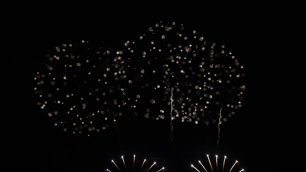 Fuochi d'artificio 4K nel cielo notturno.