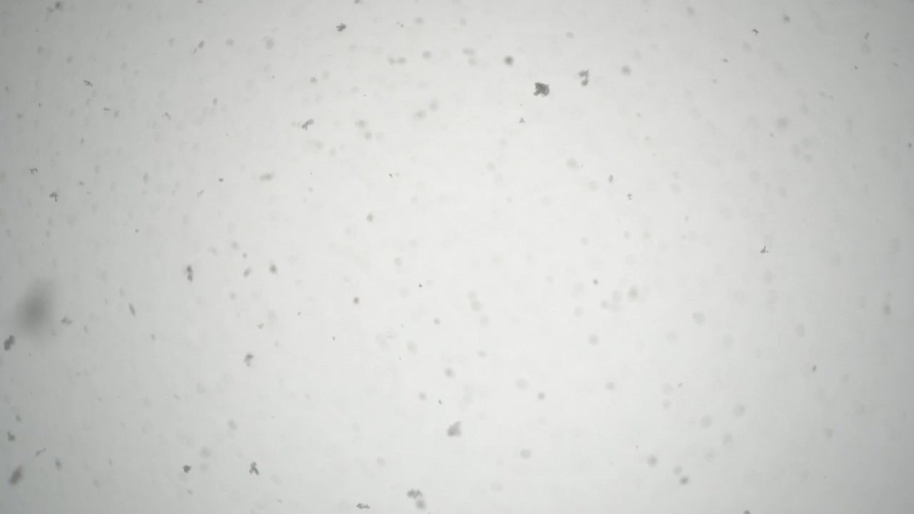 nevando muito com flocos grandes, olhando para cima, profundidade de campo muito rasa com bordas mais escuras do quadro
