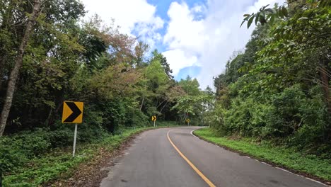 viajando a través de un camino de bosque sinuoso