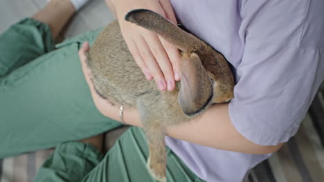 woman holding a rabbit