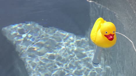 yellow rubber duck chlorine tablet holder floating around on the water of a hot tub on sunny summer day