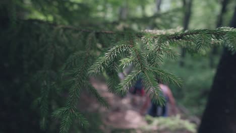 Clip-Von-Wanderern,-Die-Einen-Wanderweg-Hinuntergehen,-Aufgenommen-In-Zeitlupe-–-Gefilmt-In-Den-Weißen-Bergen-Von-New-Hampshire