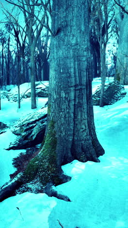 a lone tree stands tall in a snowy forest