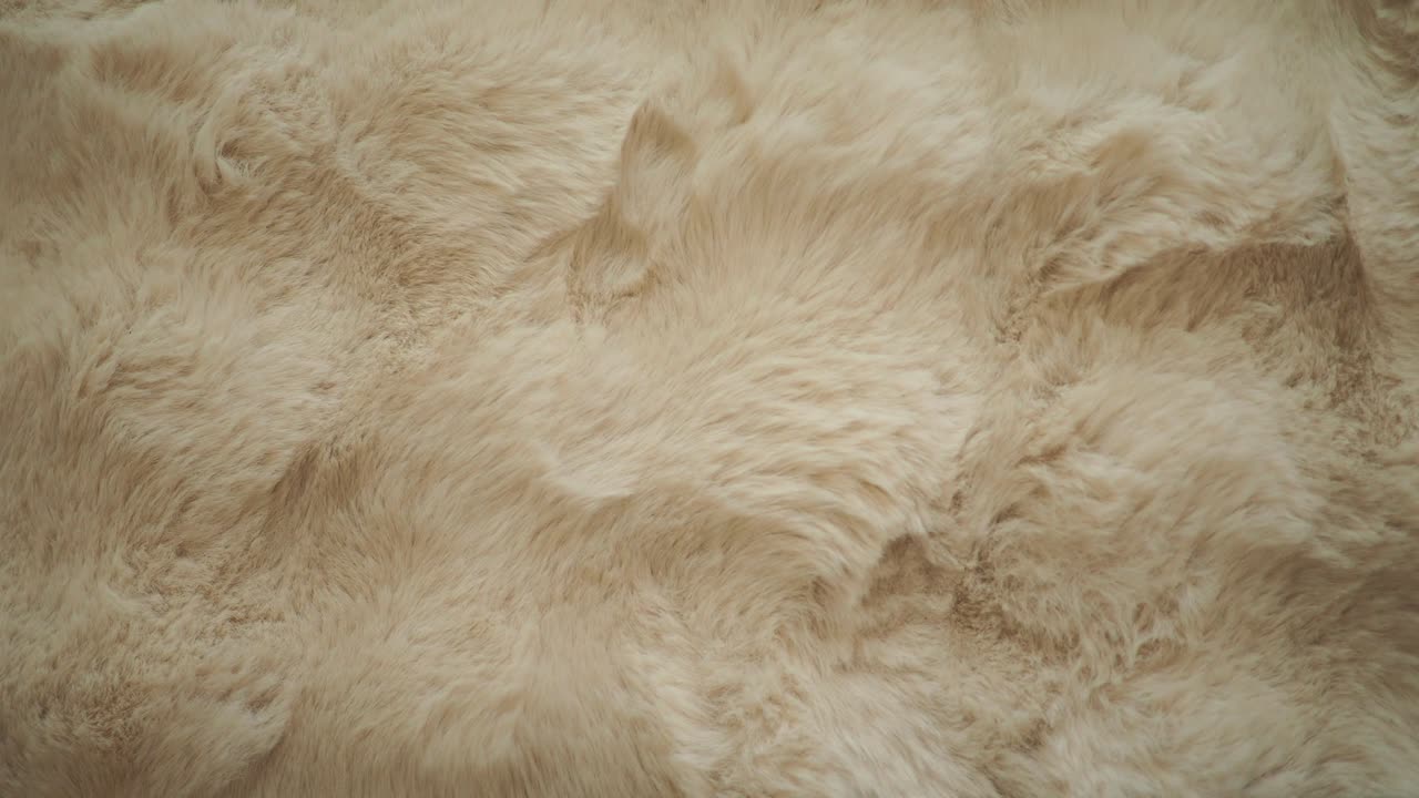 Beige Fur Texture