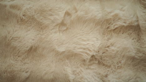 beige fur texture