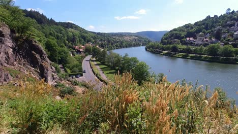 static view of beautiful landscape with with river, tall grass and flowers in foreground.