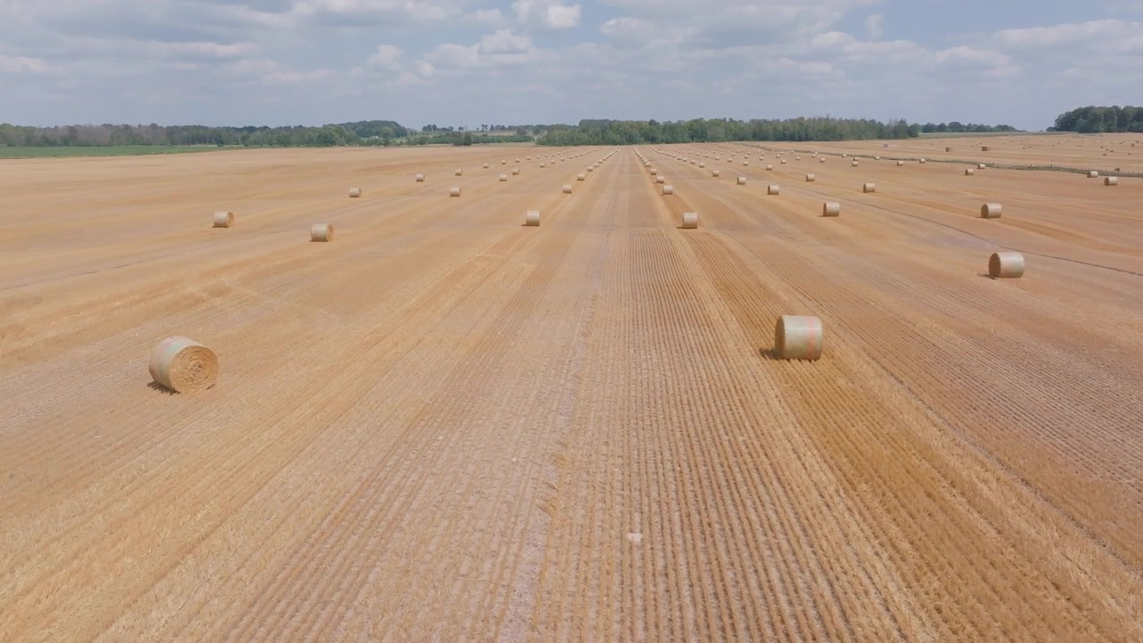 An aerial drone glides smoothly over a golden harvested field lined with rows of round straw bales. The farmland stretches toward the horizon in Bruce County, Ontario.