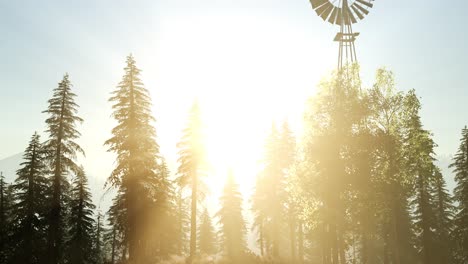 Typical-Old-Windmill-turbine-in-forest-at-sunset