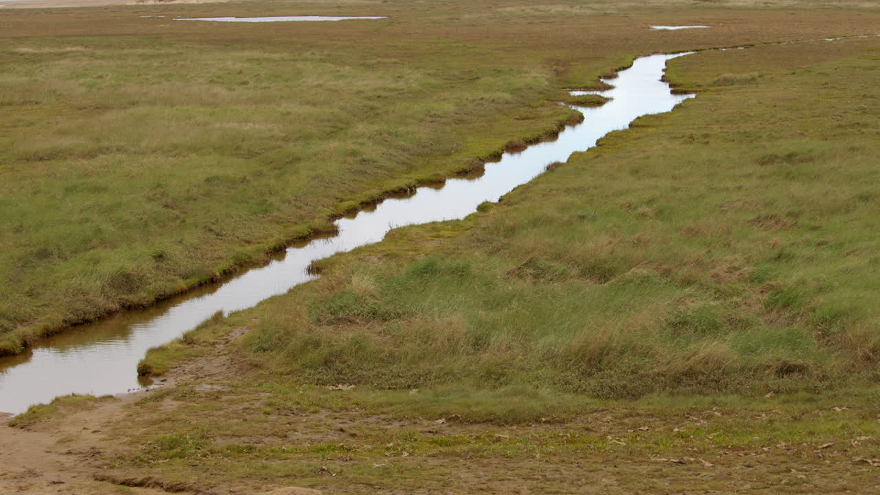 Wide shot of Tidal inlet stream on at mud flats Saltfleet, Louth, Lincolnshire