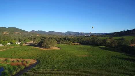 una antena alta sobre hileras de viñedos en el condado de sonoma del norte de california 11