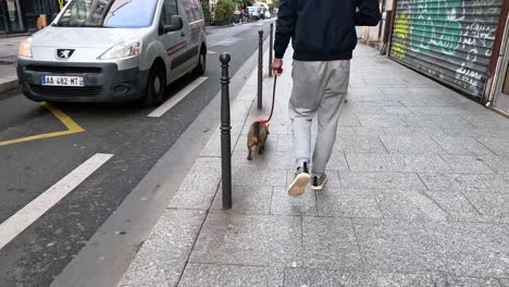 a man and his dog stroll through a busy city street.