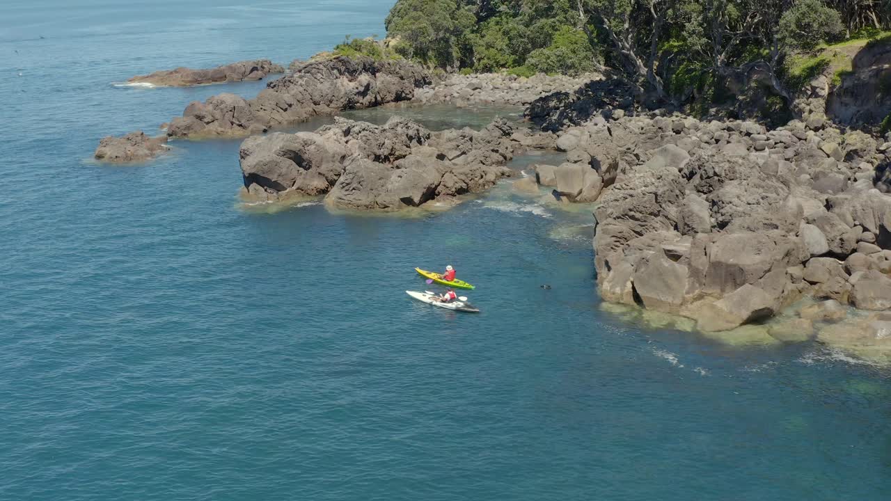 Kayakistas cerca de la costa rocosa y escarpada con una foca nadando junto a ellos, vista aérea, Isla de la Ballena