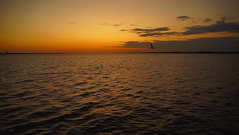 una gaviota vuela románticamente mientras el sol enciende el cielo sobre el océano