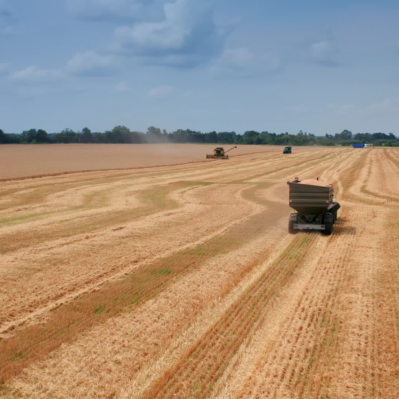 Aerial view of wheat field farming. Combine harvester collects ripe golden wheat