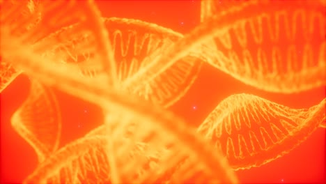 estructura de la animación de doble hélice de adn