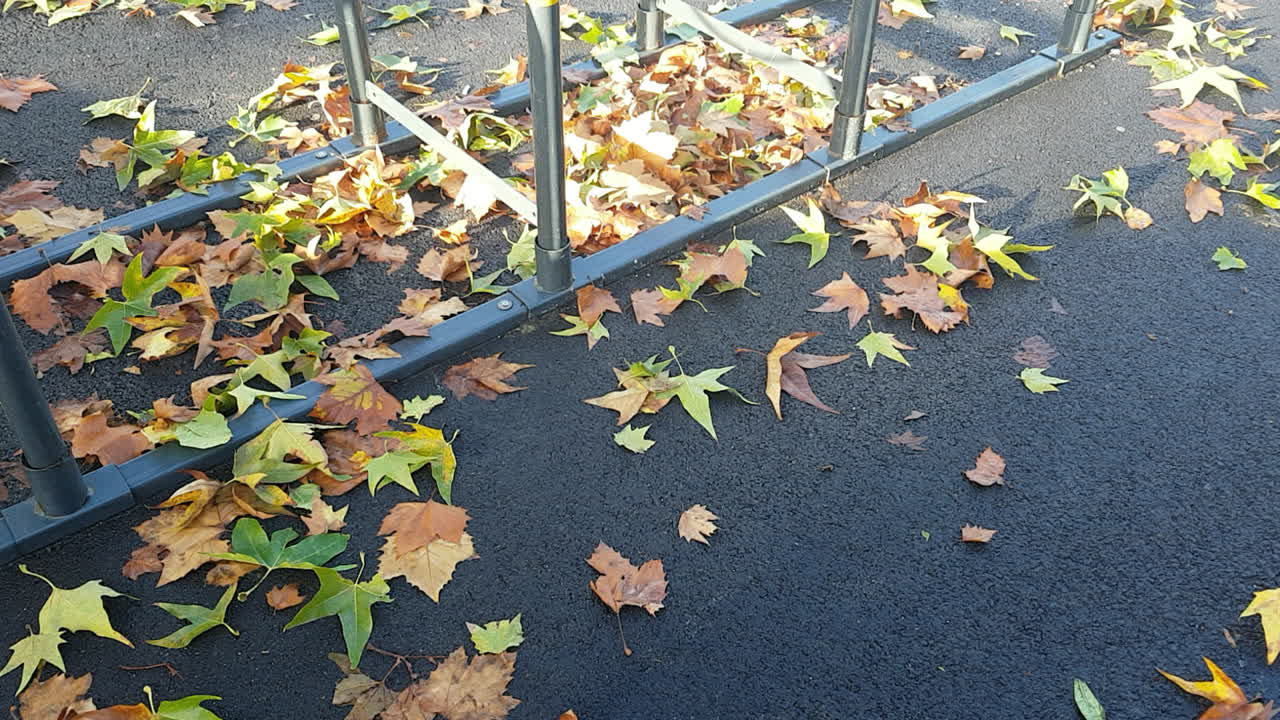 Autumn Leaves on the Ground near a Bike Rack