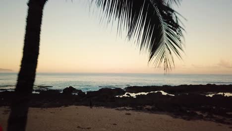 Beautiful-Drone-shot-flying-under-VERY-CLOSELY-under-Palm-Trees-during-a-colorful-sunrise-at-Shark's-Cove,-Oahu,-Hawaii