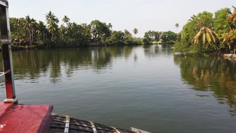 wide shot of palm trees by waterway taken from traditional houseboat at alappuzha, kerala, india