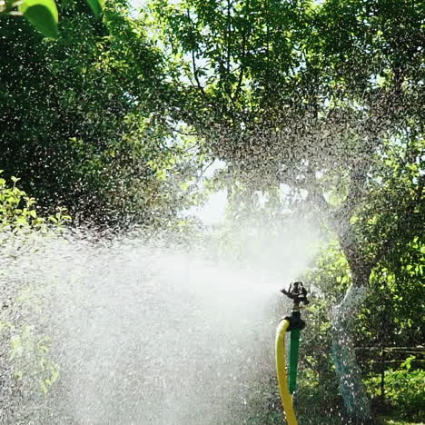 water sprinkler. automatic irrigation system for plants and lawns. slow motion.