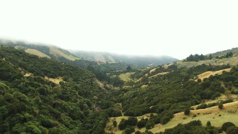 Drone-view-large-green-valley-surrouned-by-tall-and-steep-hills-on-cloudy-day-with-low-hanging-fog-covered-in-trees-and-green-vegetation