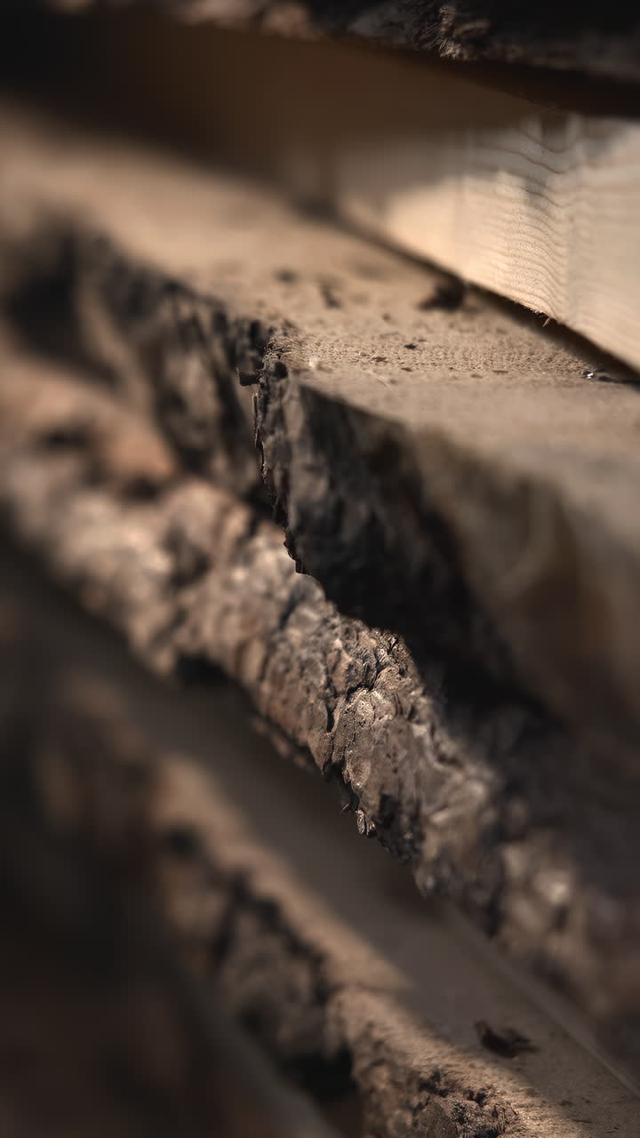 Close View Of Reclaimed Plank With Rough Bark And Natural Defect, Warm Studio Light Accentuates. Media