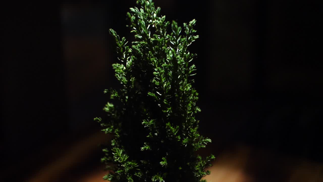 pequeña decoración del árbol de navidad