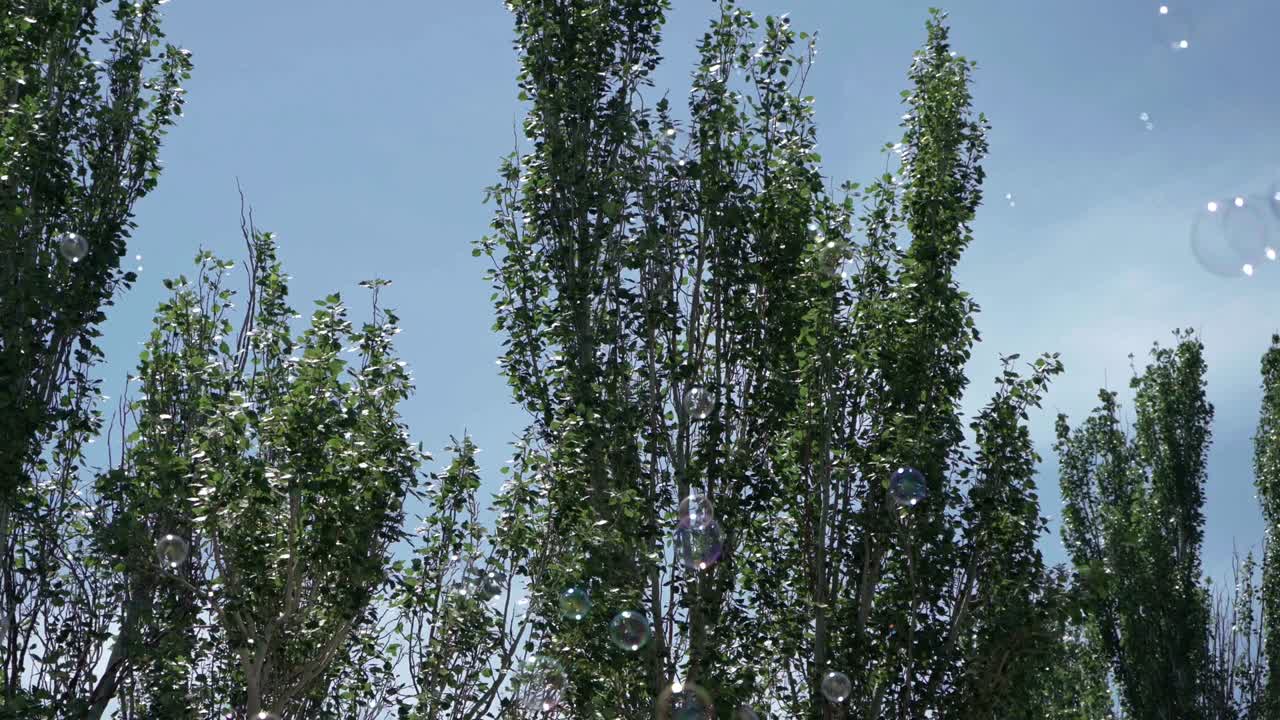 las burbujas de jabón vuelan delante de los árboles verdes