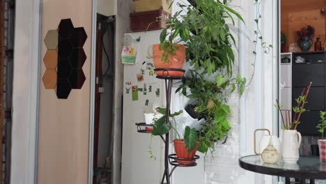 modern room with multiple doorways and vertical plant display on wall complemented by potted plant stand next to freezer entrance and wardrobe entrance with decorative pot under natural winter light