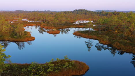 Peaceful-low-islands-at-swamp-in-evening,-tracking-drone-hot