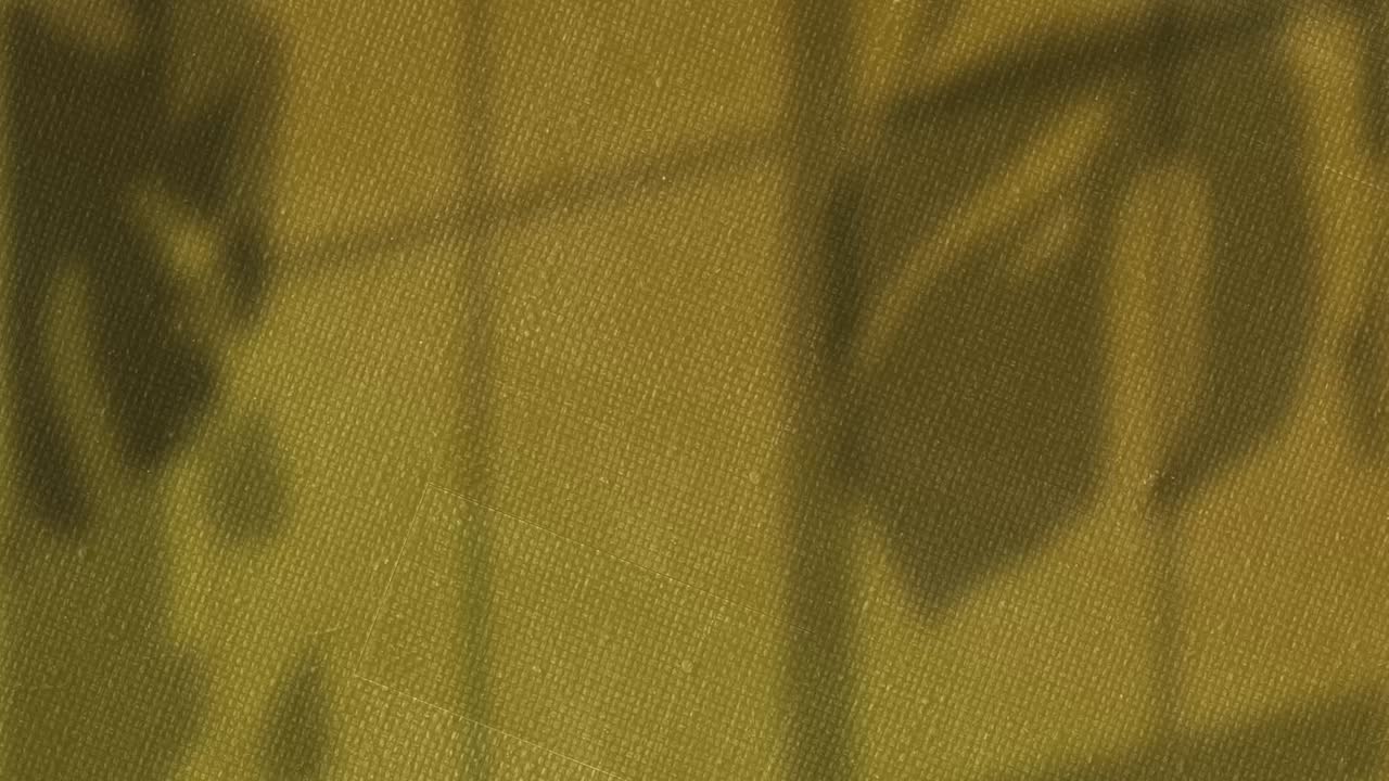 animación de sombras de hojas balanceándose sobre la textura cambiante del lienzo marrón