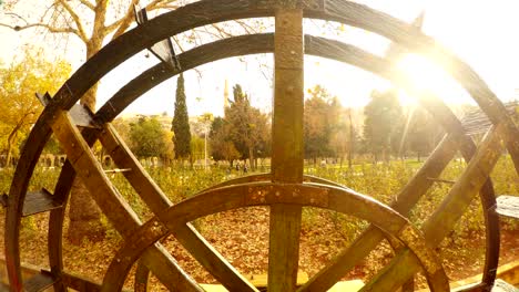 sun shines through water mill moves near pool of sacred fish water flows urfa