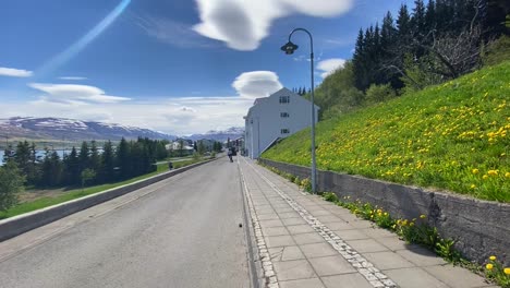 Back-View-of-Person-Riding-Electric-Scooter-on-Street-in-Icelandic-Residential-Neighborhood,-Static-View