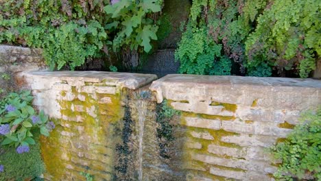 the source of water is fenced with a brick wall and overgrown with greenery