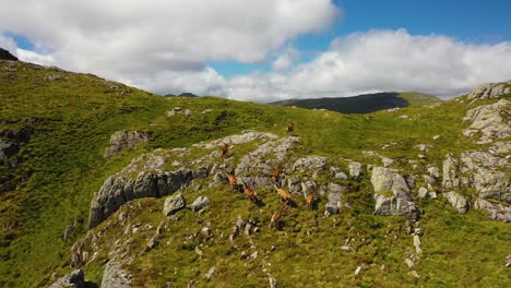 Schottland,-Vereinigtes-Königreich