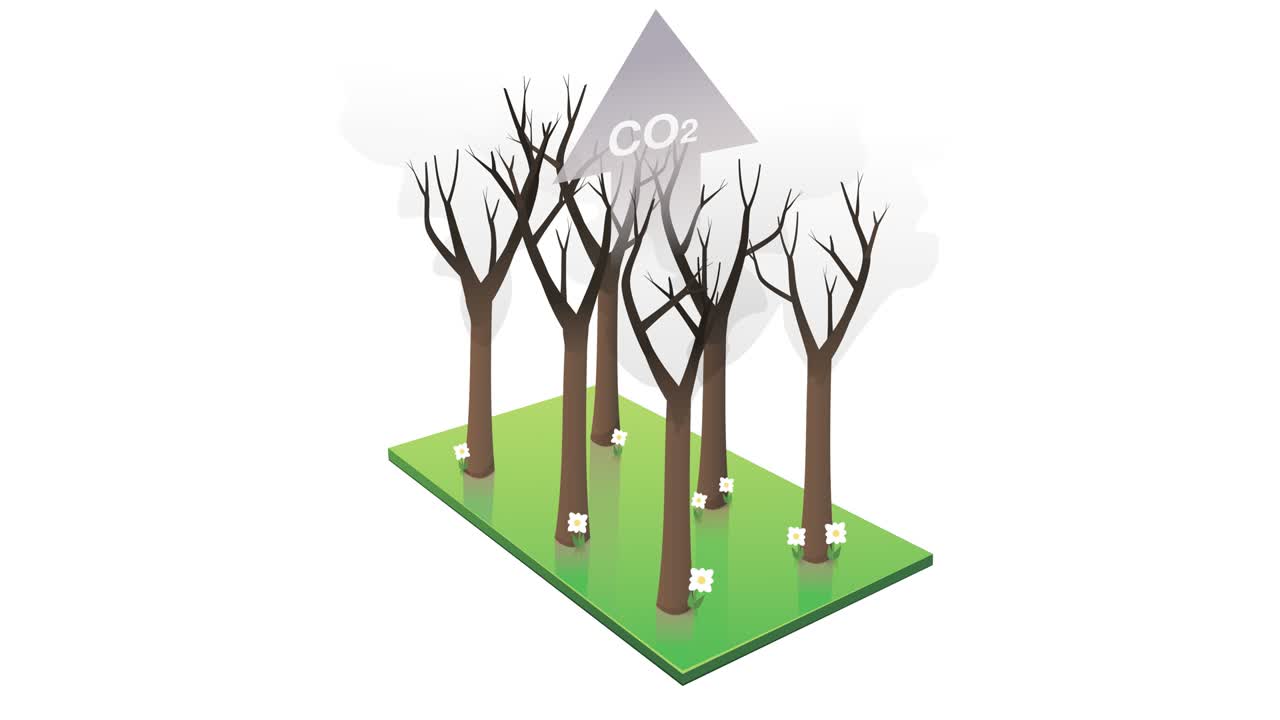 색 배경에 이산화탄소를 방출하는 불타는 숲의 애니메이션 루프