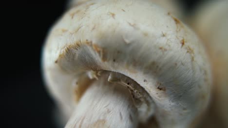 macro video of a pile of mushrooms, detailed raw champignons, white caps, on a rotating stand, smooth movement, slow motion 120fps