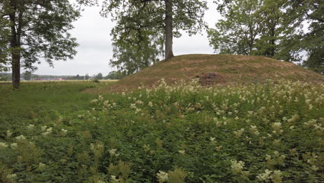 Borre-Mound-Friedhof-Sind-Alte-Grabhügel-Aus-Der-Wikingerzeit