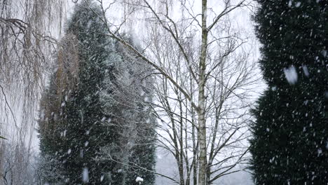 Starker-Schnee-Fällt-Im-Wald-Zwischen-Den-Gemischten-Bäumen-Im-Wald