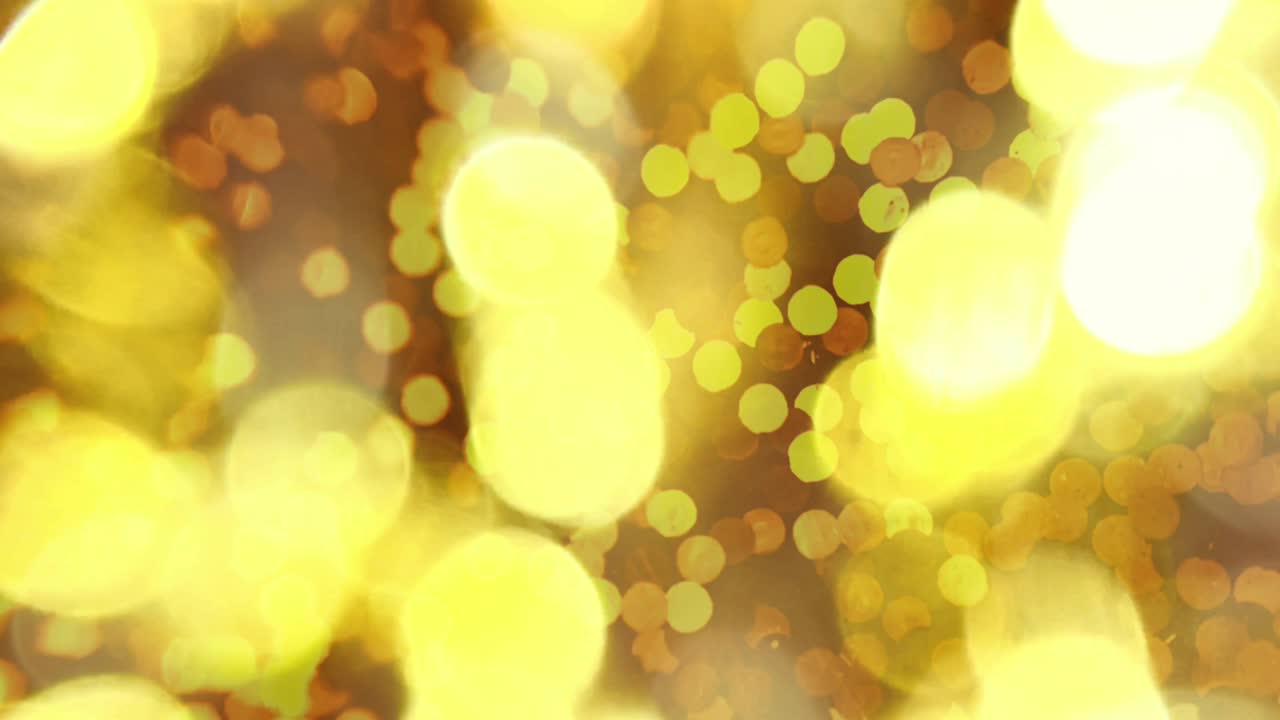 다채로운 보케 애니메이션