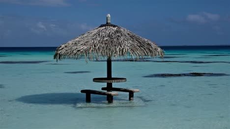 a palm leaf umbrella with a table and bench in turquoise blue shallow tropical waters of the pacific