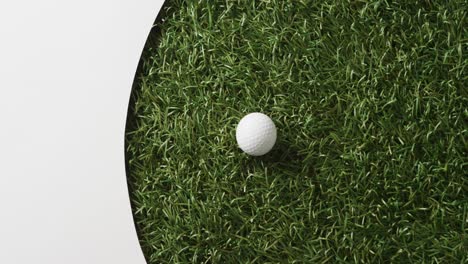 Close-up-of-golf-ball-on-grass-with-white-background,-copy-space,-slow-motion