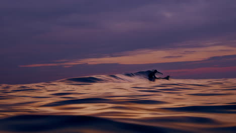 Surfing the Golden Waves at Sunset