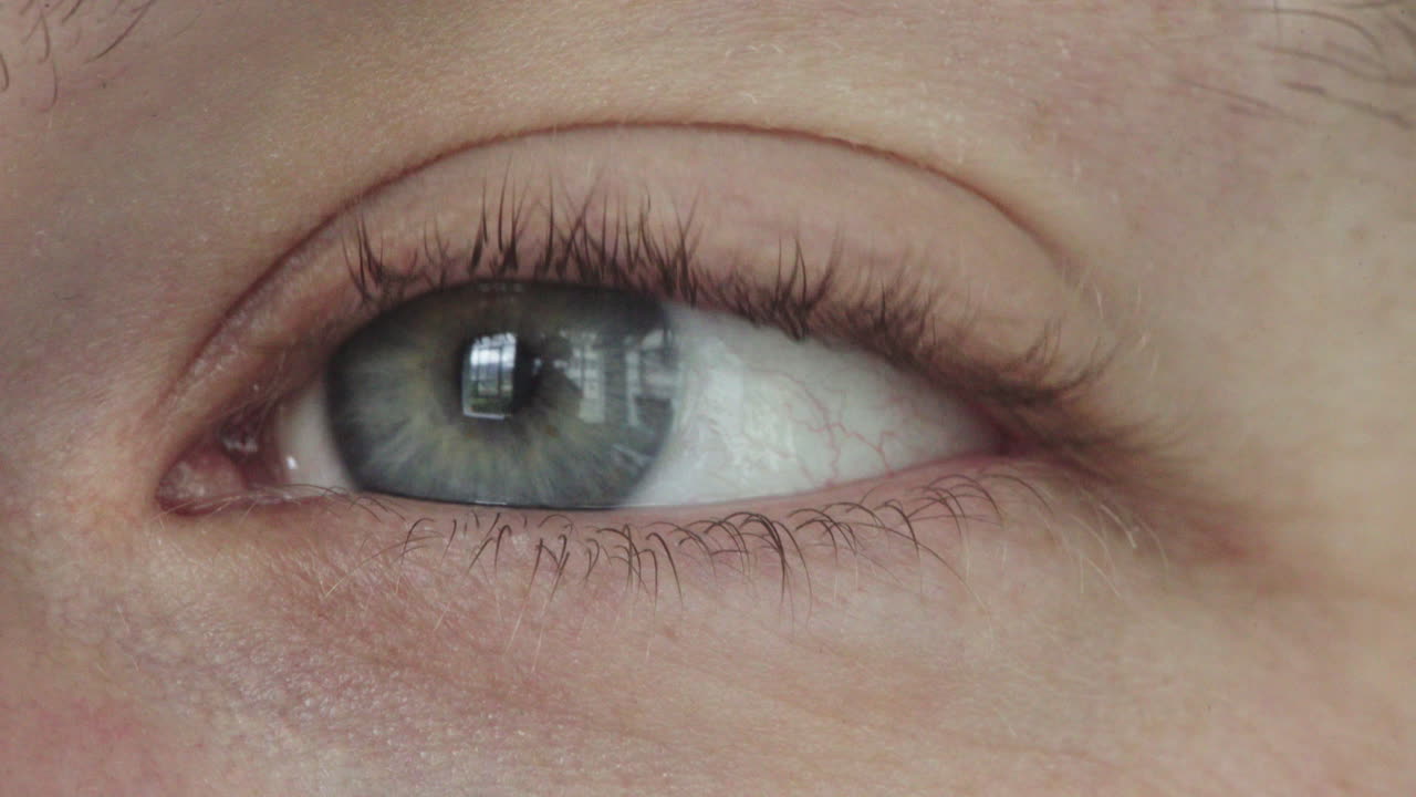 카메라를 바라보는 파란 눈의 남자의 근접 사진, 아이리스에 대한 사려 깊은 반사