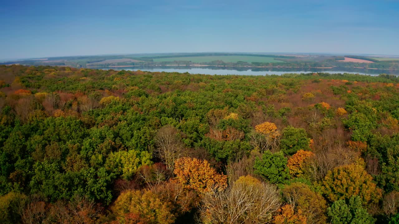 Amazing colorful foliage on river background. Green, red and yellow trees of the forest. Autumn landscape from the air. Aerial view. Motion camera back.