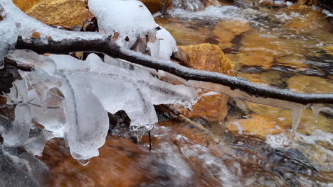 frozen branches covered with ice and icicles fell over a small forest river in winter