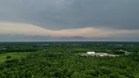 Aerial-view-of-a-vast-forest-canopy-under-overcast-skies,-offering-a-serene-and-expansive-look-at-nature's-lush-greenery