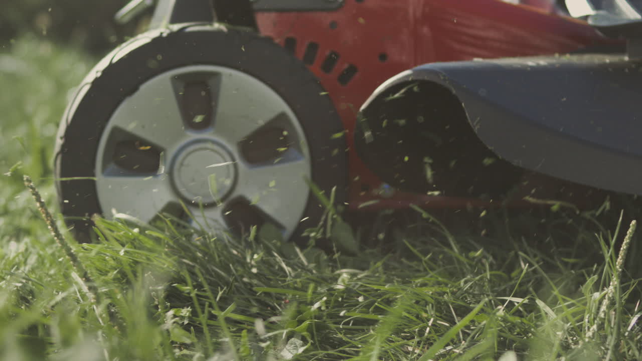 잔디를 잘라내는 잔디 기 기계