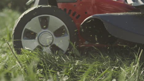 lawn mower cutting grass