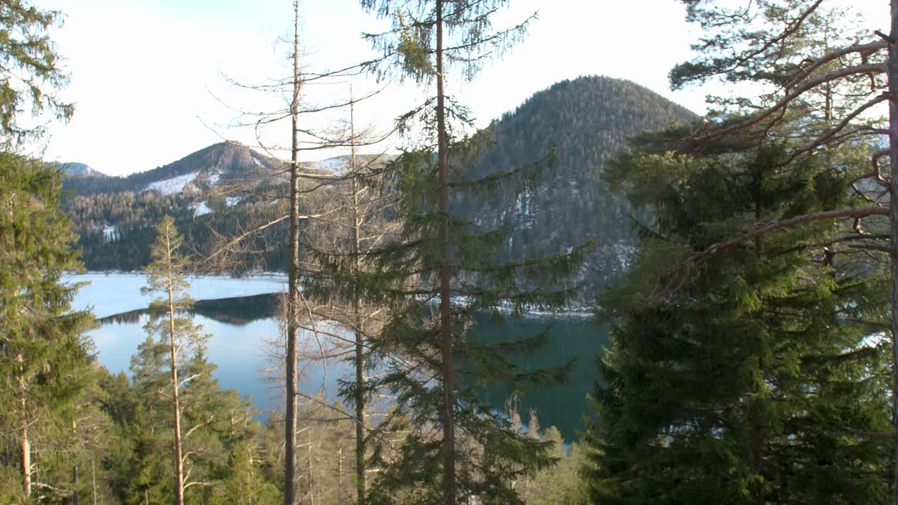Udsigt over en frossen sø i Østrig i skoven - Erlaufsee Mariazell.
